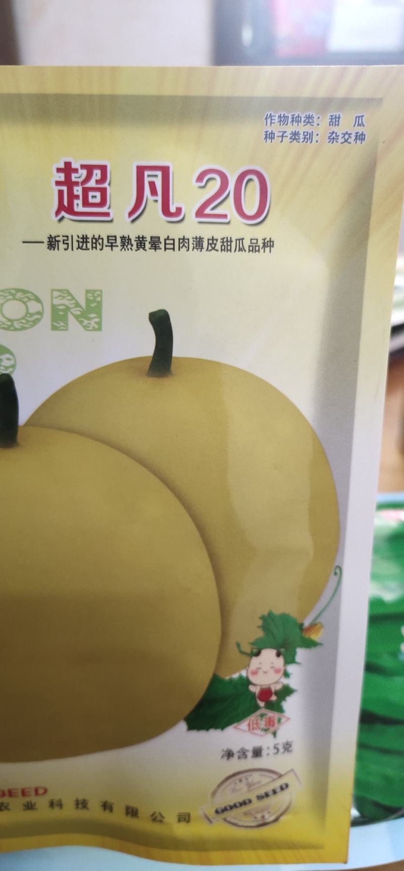 甜瓜种子凡20—新引进的早熟黄晕白肉薄皮甜瓜品种