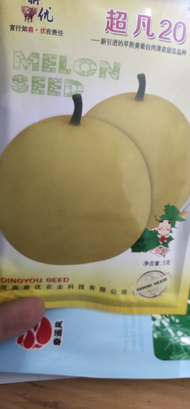 甜瓜种子凡20—新引进的早熟黄晕白肉薄皮甜瓜品种