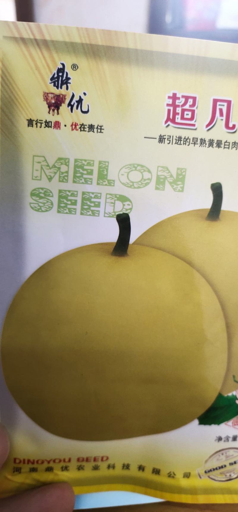 甜瓜种子凡20—新引进的早熟黄晕白肉薄皮甜瓜品种