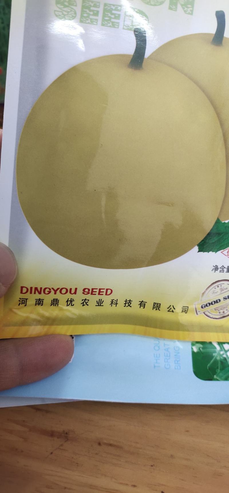 甜瓜种子凡20—新引进的早熟黄晕白肉薄皮甜瓜品种