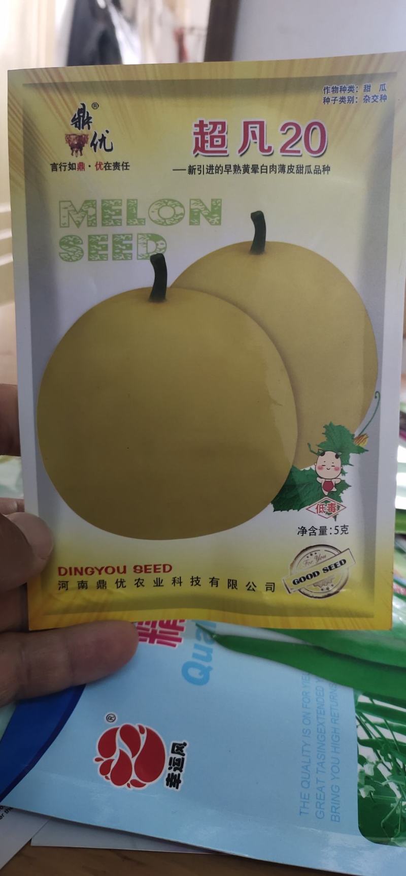 甜瓜种子凡20—新引进的早熟黄晕白肉薄皮甜瓜品种