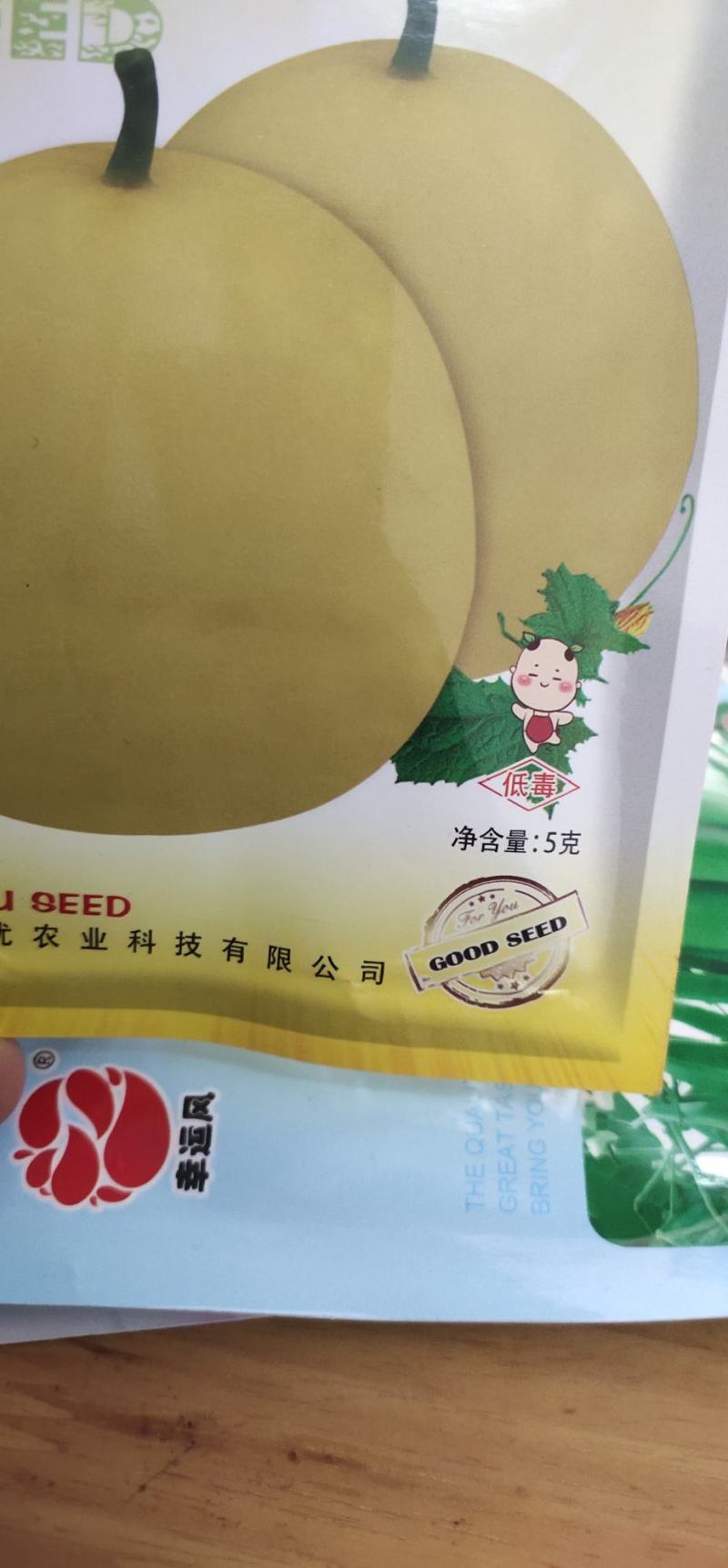 甜瓜种子凡20—新引进的早熟黄晕白肉薄皮甜瓜品种