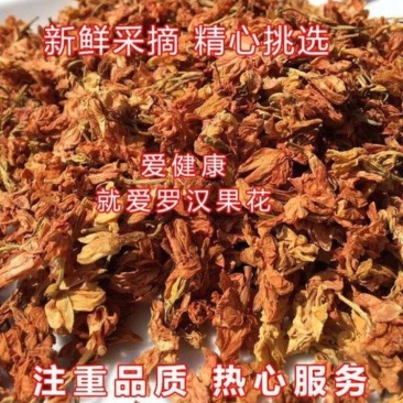 罗汉果花晒干花50-200吨现货价格优
