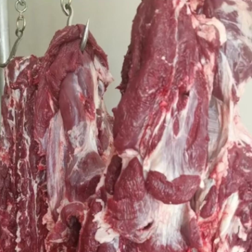 新鲜纯干牛肉，自己屠宰场屠宰，价格实惠。