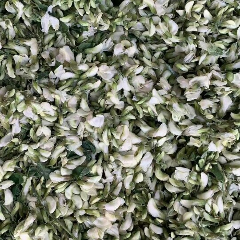 新鲜冻槐花洋槐花杨花骨朵速冻槐花长期合作