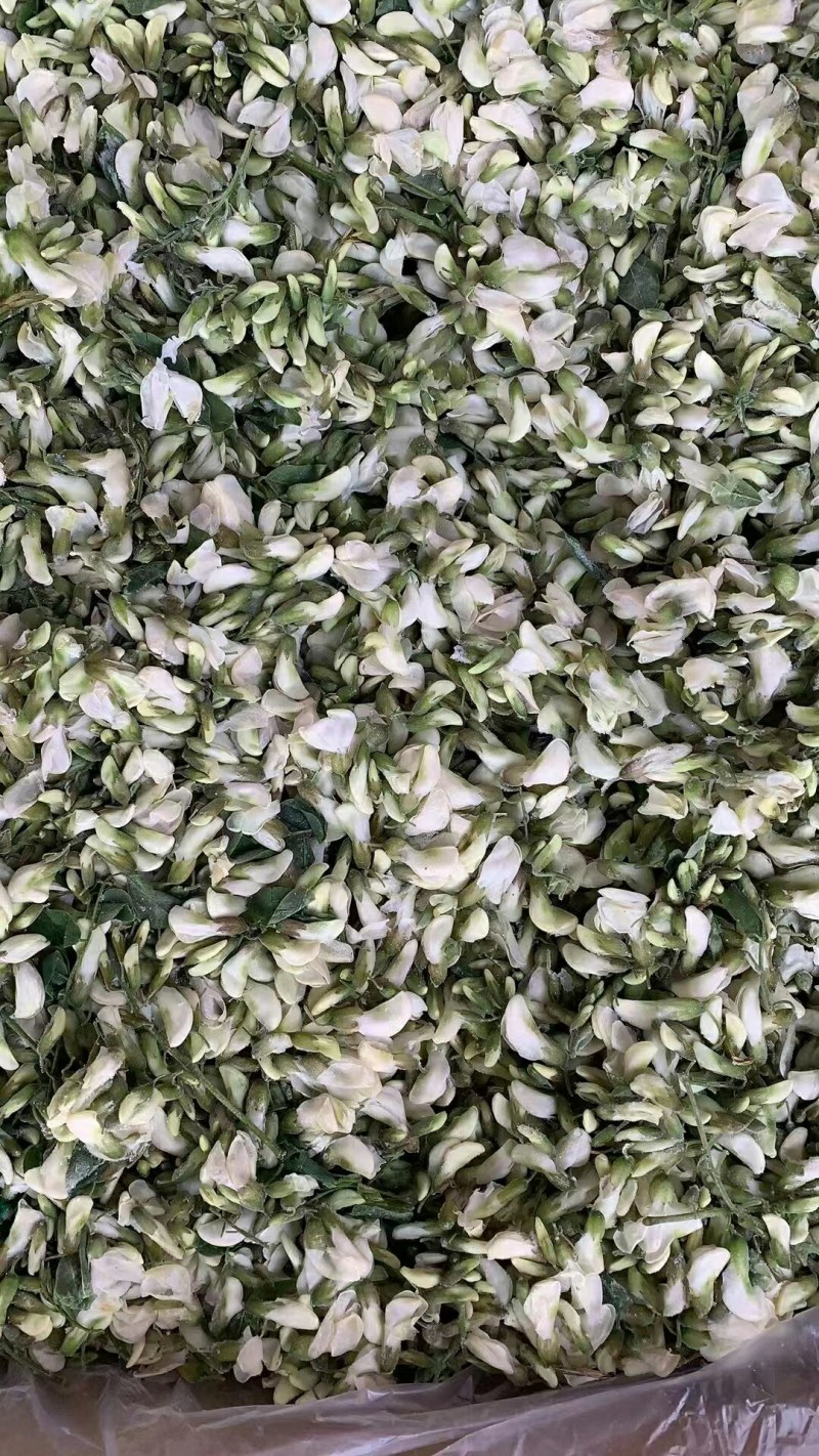 新鲜冻槐花洋槐花杨花骨朵速冻槐花长期合作