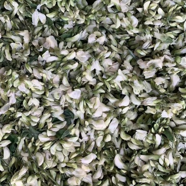 新货鲜冻洋槐花，品质好，价格便宜大量批发