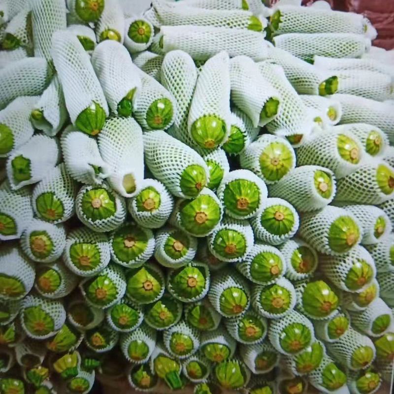西葫芦量大从优商超直供欢迎咨询品质优良