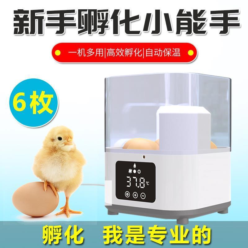 全自动孵化机自动加水孵蛋器6枚装鸡鸭鹅暖蛋器鸟鸽子鹌鹑孵