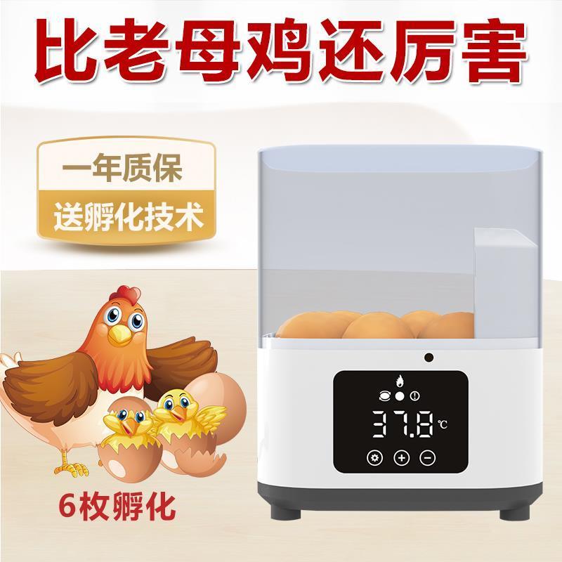 全自动孵化机自动加水孵蛋器6枚装鸡鸭鹅暖蛋器鸟鸽子鹌鹑孵