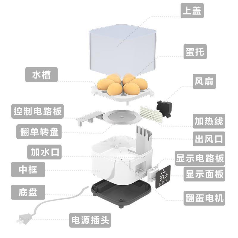 全自动孵化机自动加水孵蛋器6枚装鸡鸭鹅暖蛋器鸟鸽子鹌鹑孵