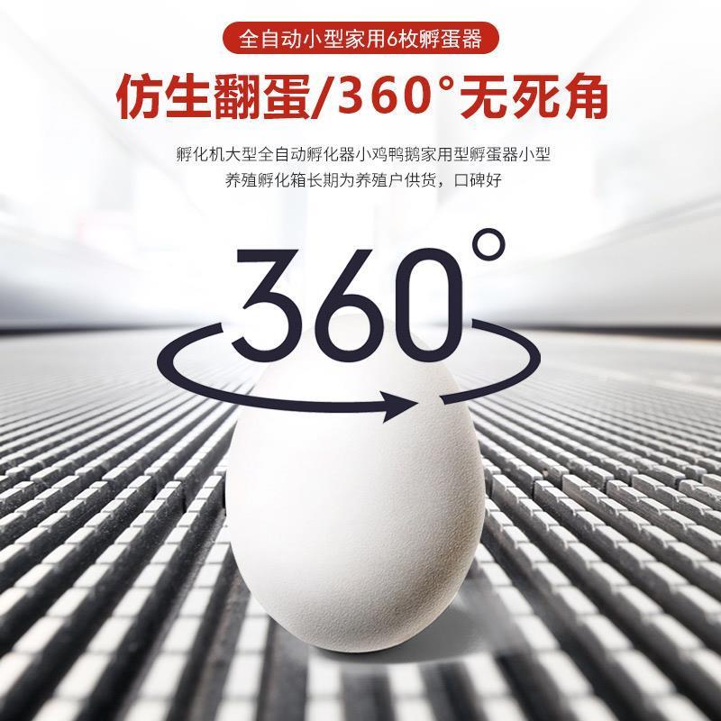 全自动孵化机自动加水孵蛋器6枚装鸡鸭鹅暖蛋器鸟鸽子鹌鹑孵