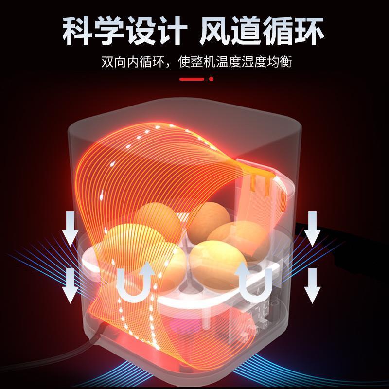 全自动孵化机自动加水孵蛋器6枚装鸡鸭鹅暖蛋器鸟鸽子鹌鹑孵