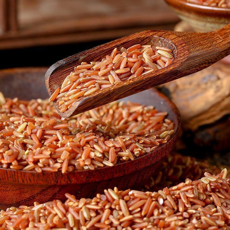 红米长粒红糙米新货红稻胚芽米五谷杂粮现货批发