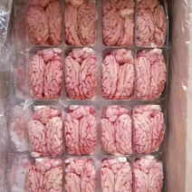 猪脑花手续齐全支持样品质量保证冷链运输