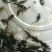 重庆市潼南淡水养殖场优良魚苗欢迎各位老板前来光临