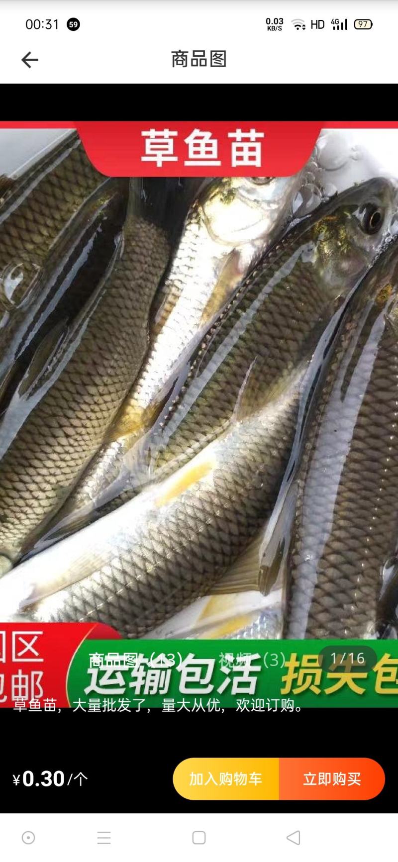 重庆市潼南淡水养殖场优良魚苗欢迎各位老板前来光临