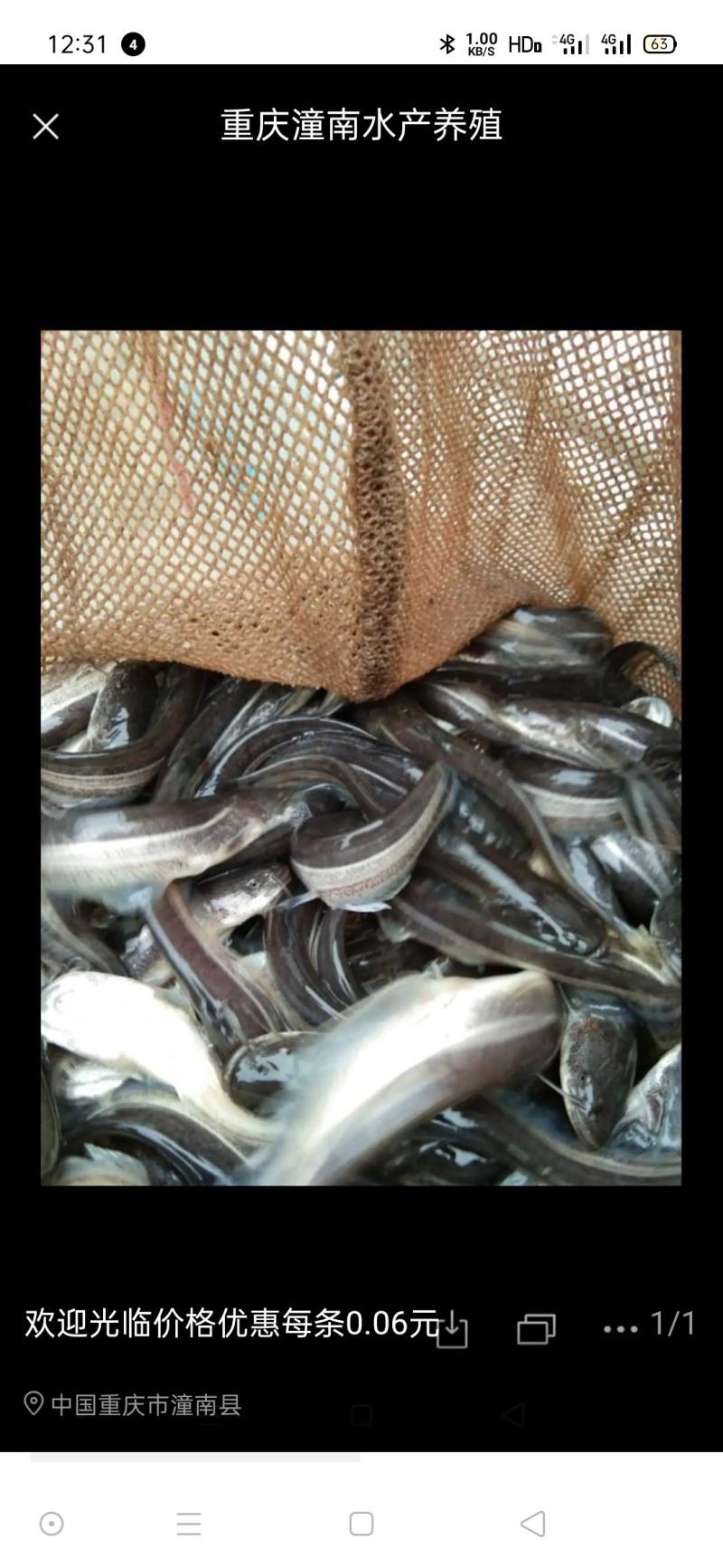 欢迎各位老板光临重庆潼南淡水养殖场优良品种