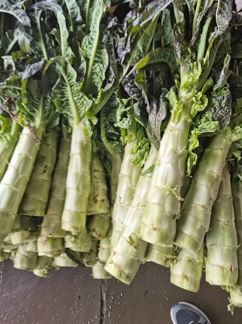 高原夏菜基地，电商，美团，整车接单