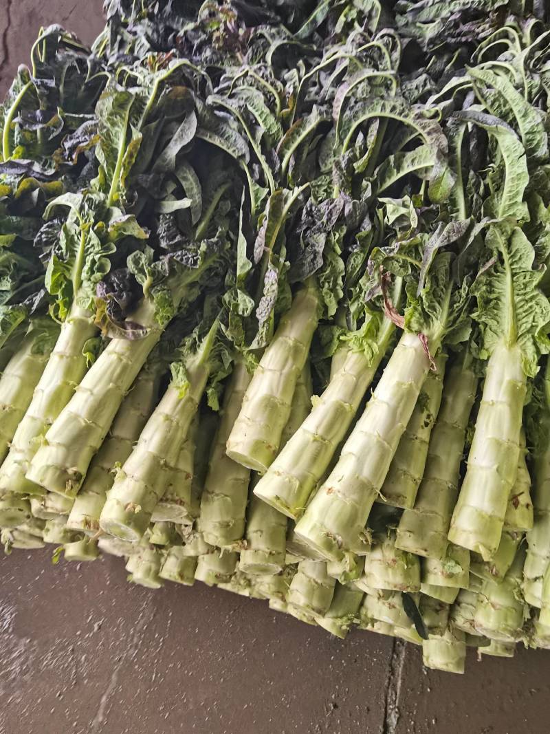 高原夏菜基地，电商，美团，整车接单