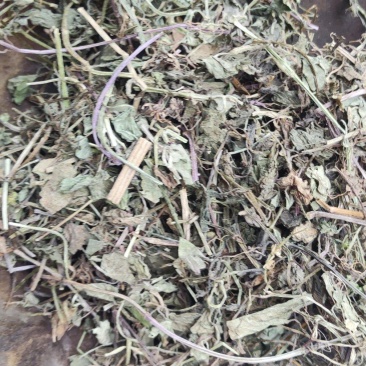 连钱草~透骨消~新货~1公斤起售~欢迎老板选购~