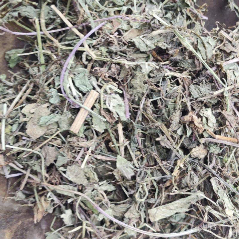 连钱草~透骨消~新货~1公斤起售~欢迎老板选购~