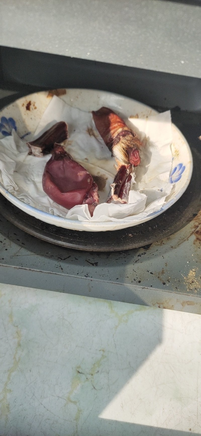 鹿鞭大鹿鞭磨粉干鹿鞭粉男士精血猛男一瓶100克