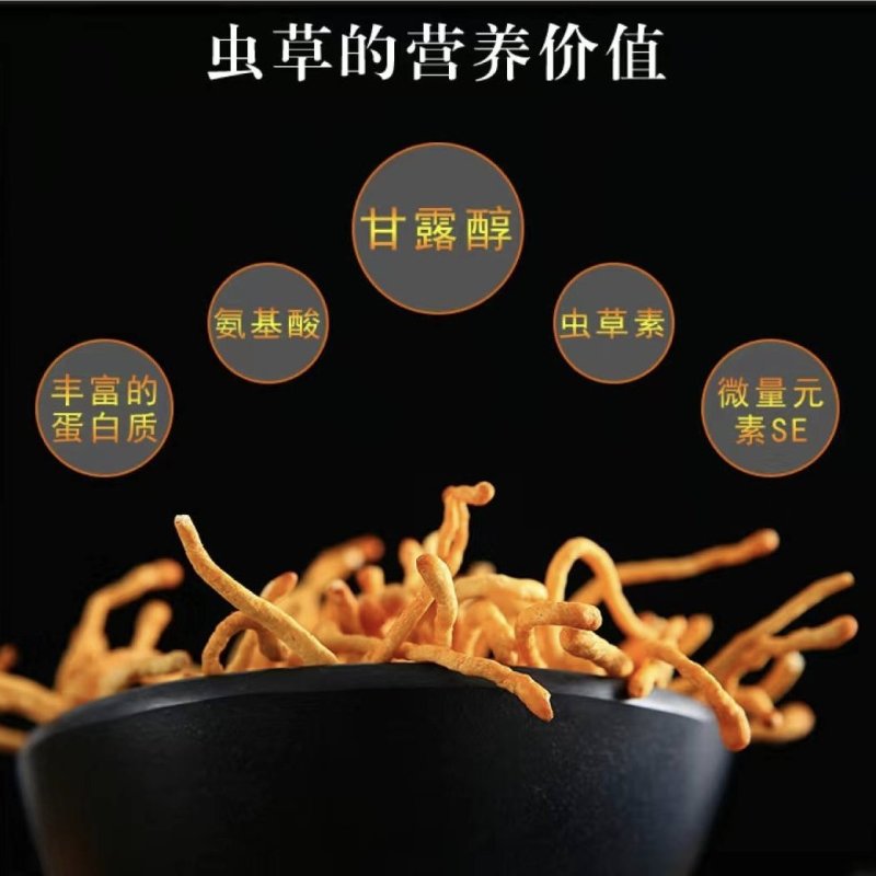 虫草花