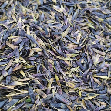 板蓝根板兰根新货现挖现货