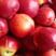 唐乐亭暖棚各种水蜜桃陆续上市产地直销有需求的联系