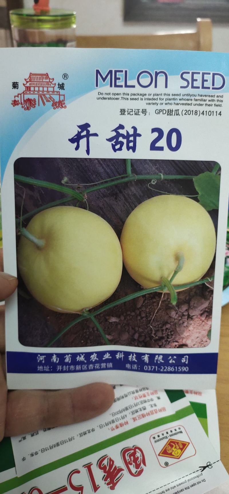 甜瓜种子开甜20，果实矮梨形，白皮带黄润白肉早熟