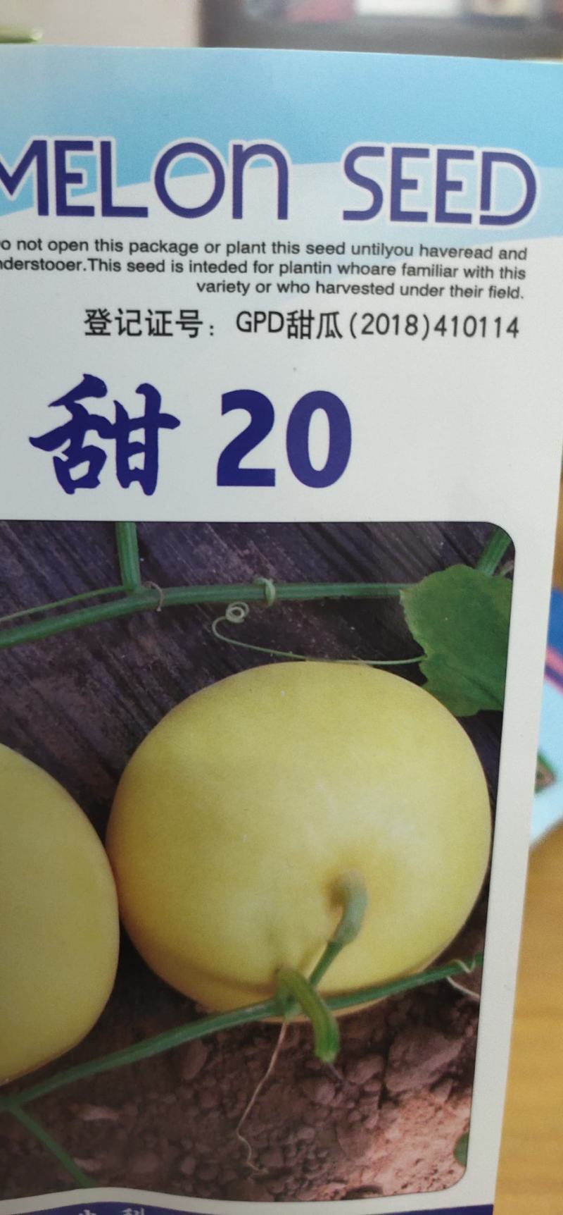 甜瓜种子开甜20，果实矮梨形，白皮带黄润白肉早熟