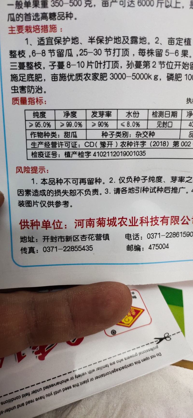 甜瓜种子开甜20，果实矮梨形，白皮带黄润白肉早熟