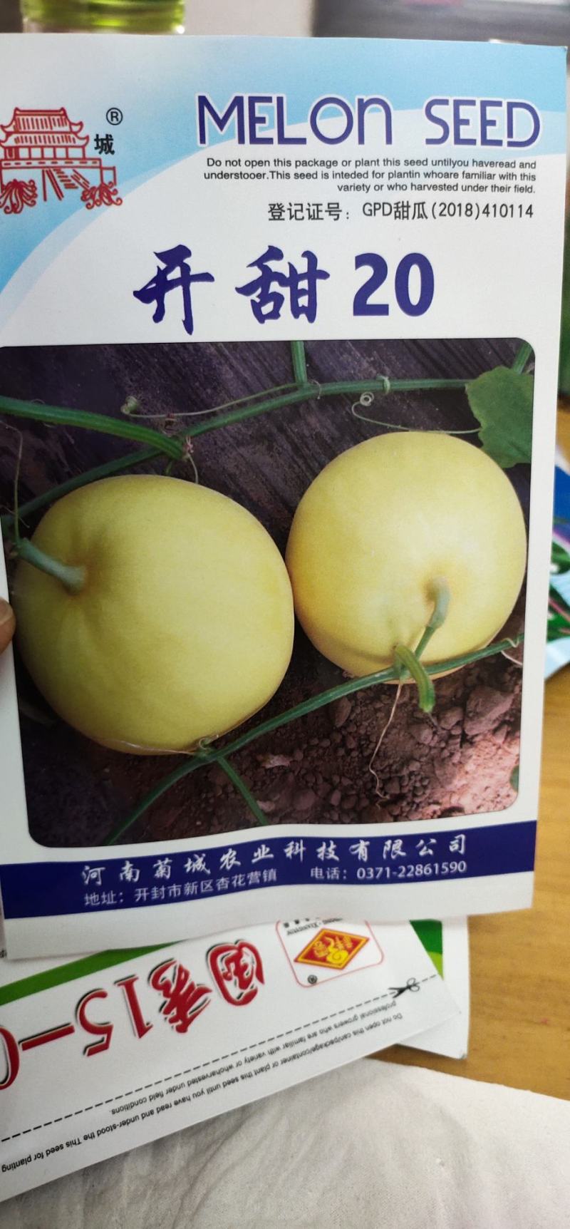 甜瓜种子开甜20，果实矮梨形，白皮带黄润白肉早熟