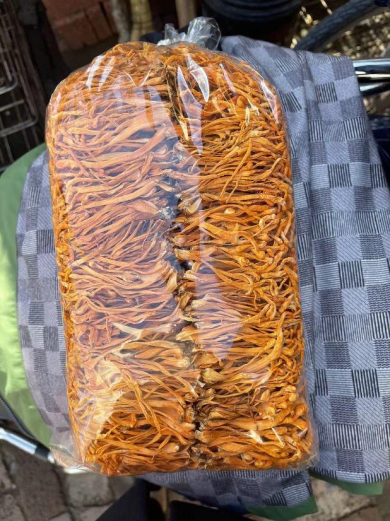 虫草花