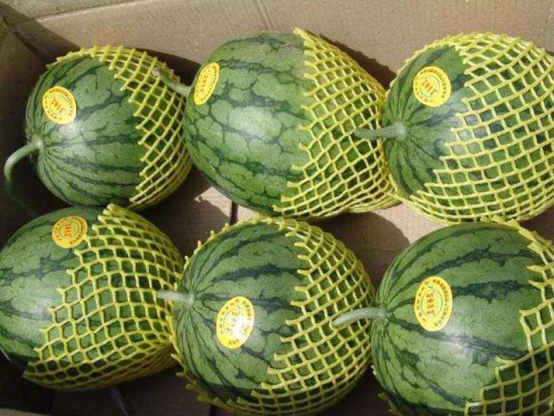 4k西瓜8424西瓜特小凤西瓜精品量大价优