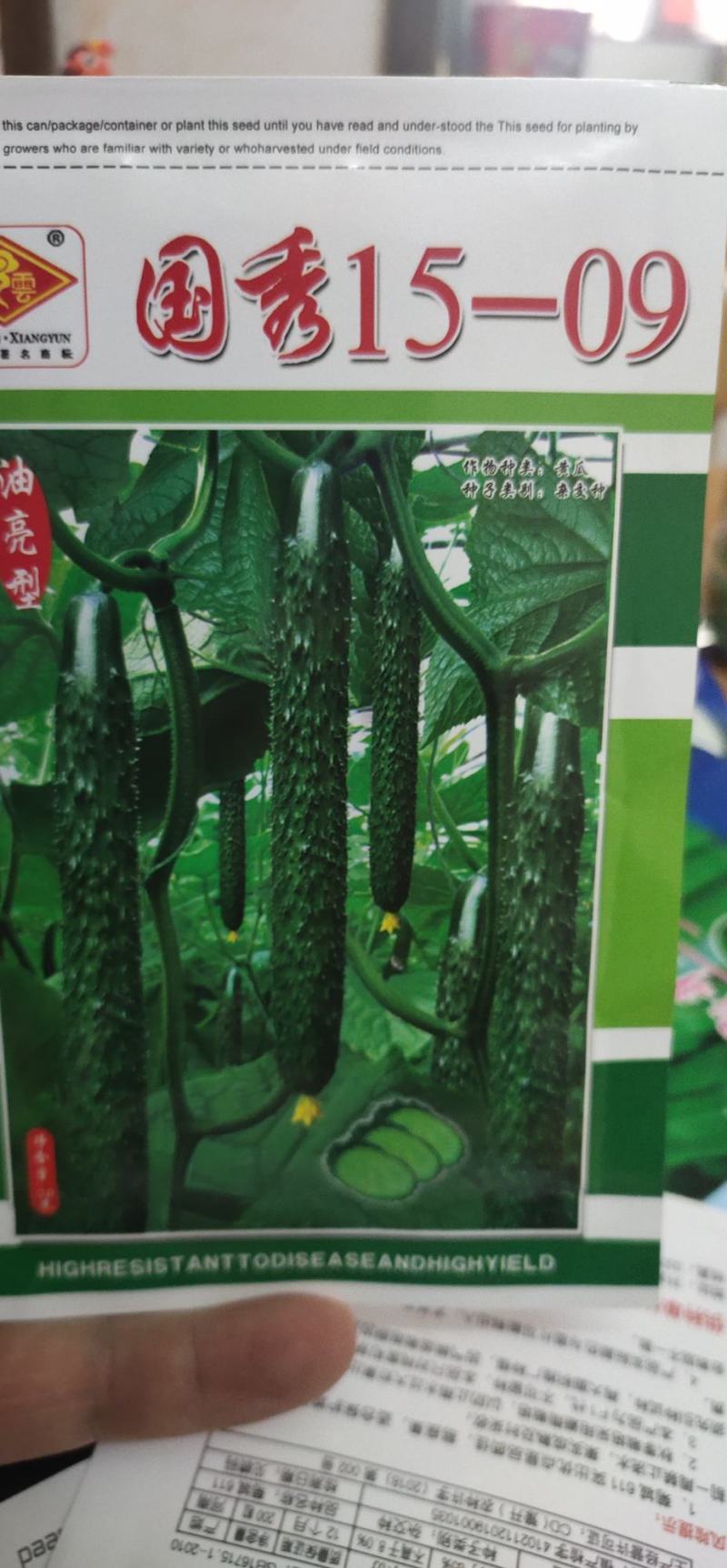 黄瓜种子国秀15-09油亮型膨瓜速度快、带瓜多、