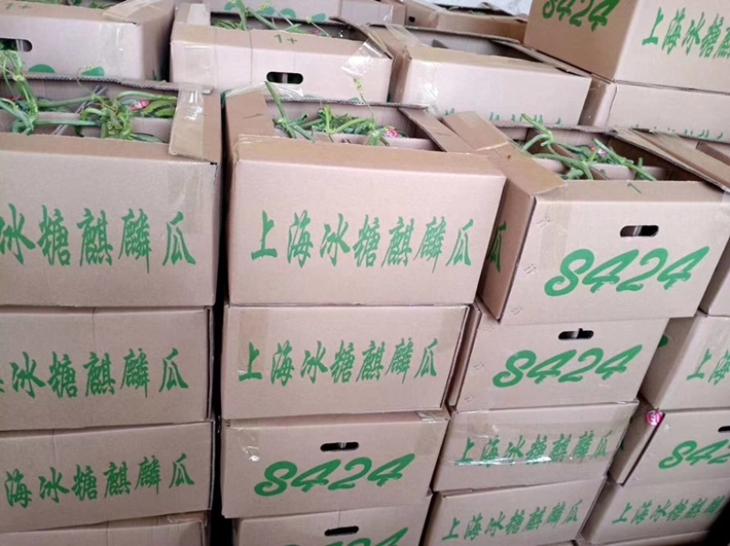 【西瓜】正宗8424现摘现发可视频看货坏单包赔
