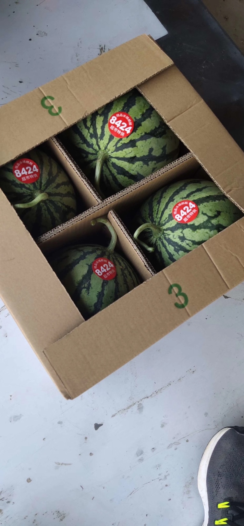 【西瓜】正宗8424现摘现发可视频看货坏单包赔