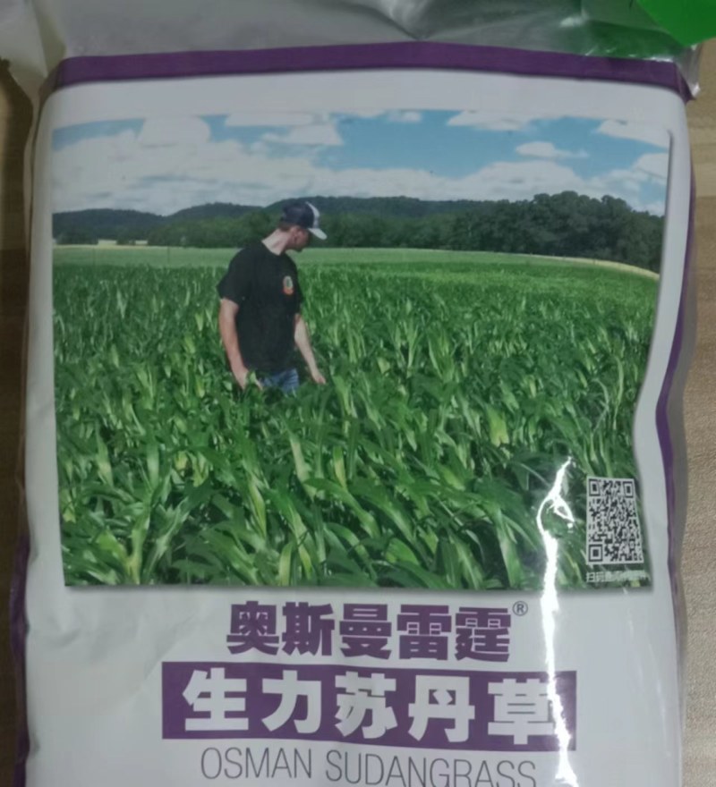 苏丹草种子奥斯曼雷霆生力苏丹草四季牧草种子牛羊饲料鱼草籽