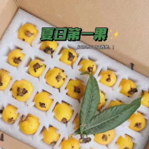 苏州东山白玉枇杷