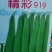 四季豆种子豆角精彩919，耐热早熟、嫩荚深绿，