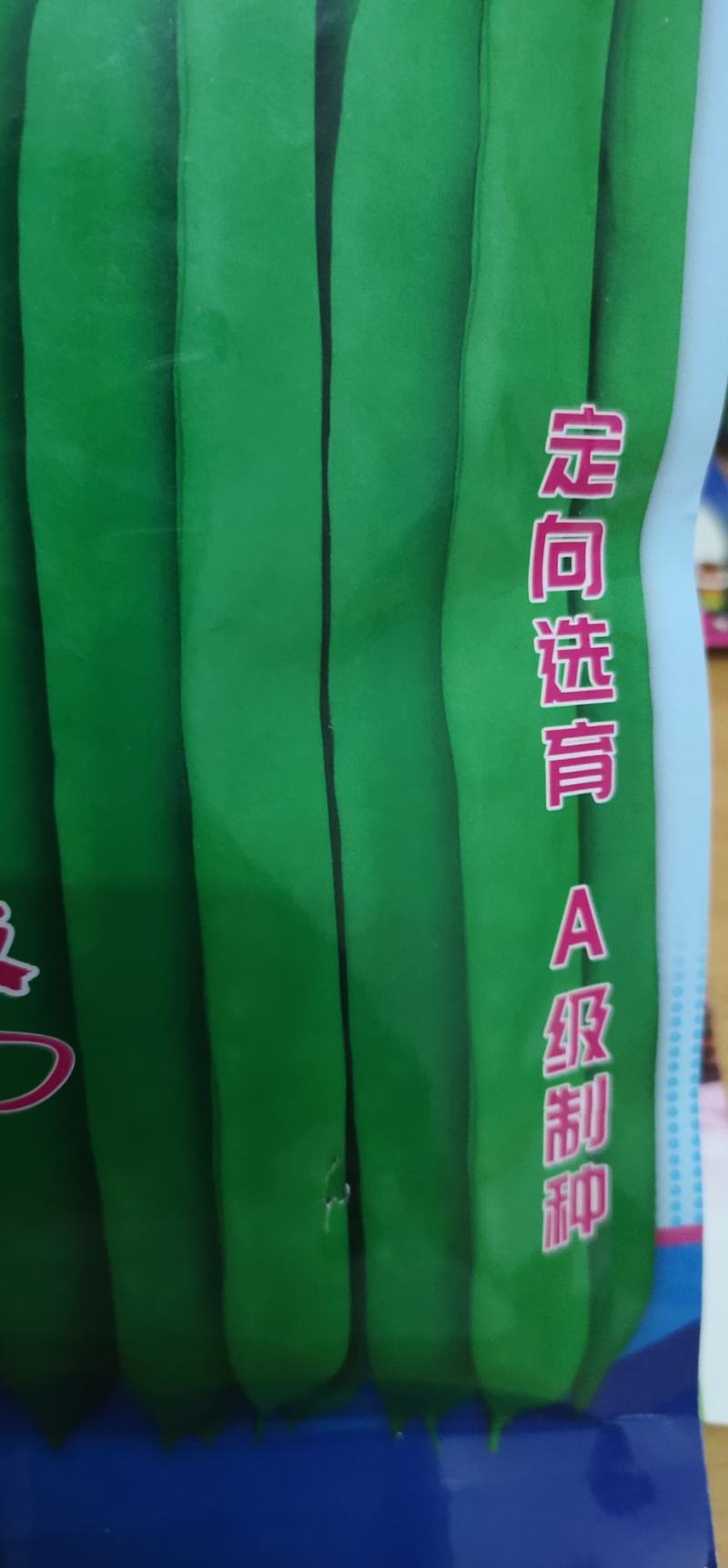 四季豆种子豆角精彩919，耐热早熟、嫩荚深绿，