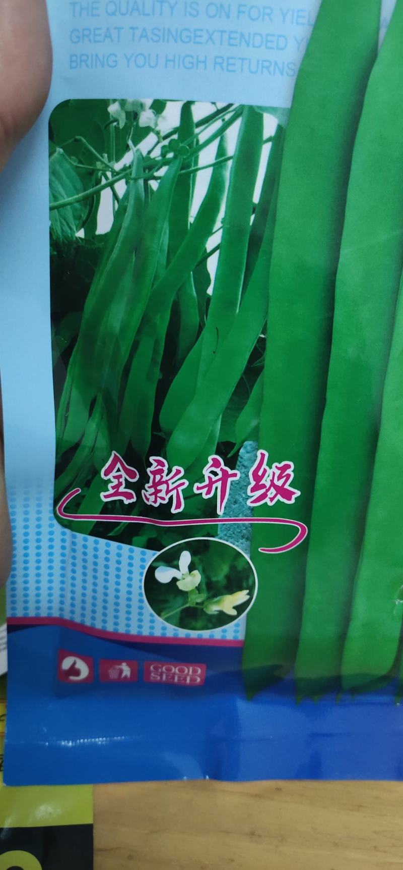 四季豆种子豆角精彩919，耐热早熟、嫩荚深绿，
