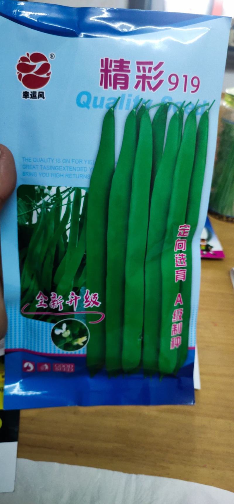 四季豆种子豆角精彩919，耐热早熟、嫩荚深绿，