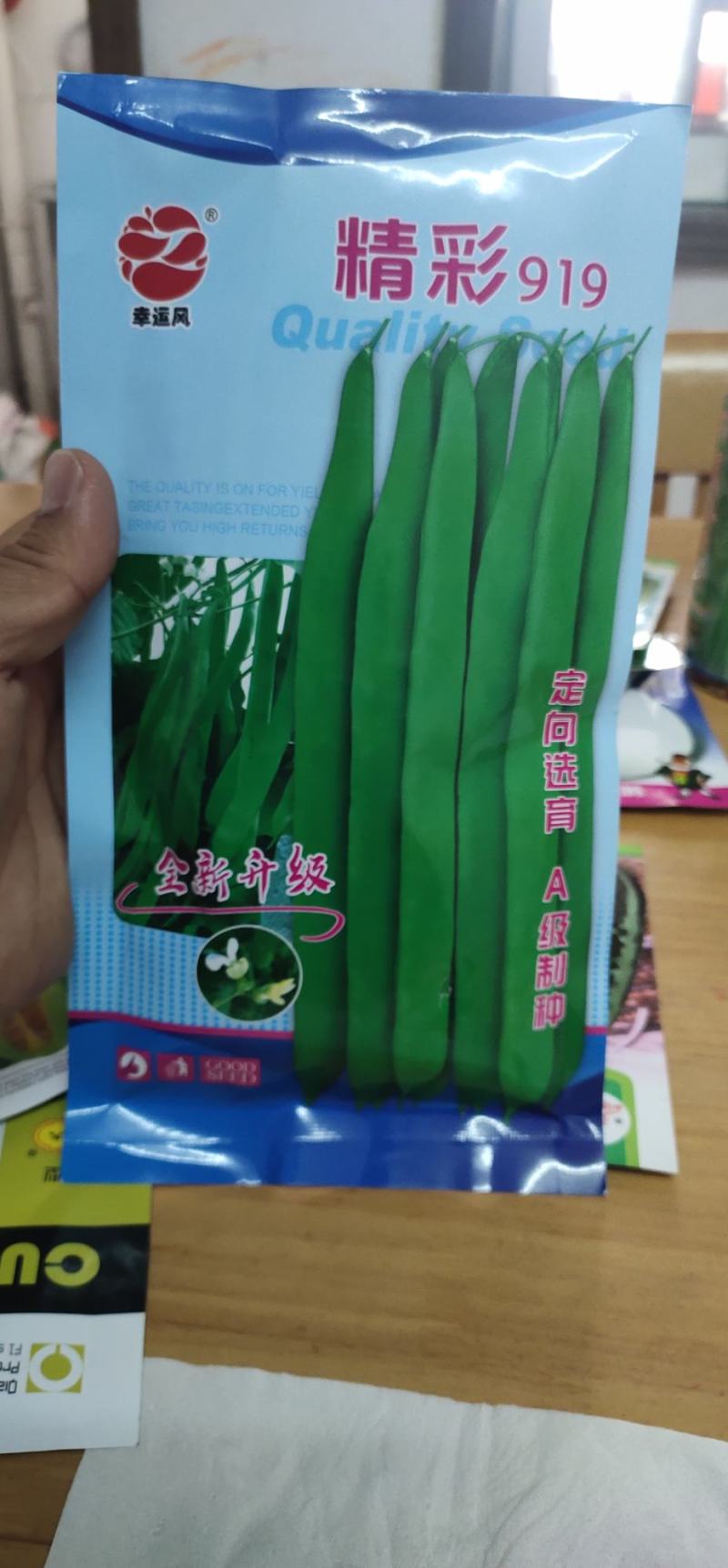 四季豆种子豆角精彩919，耐热早熟、嫩荚深绿，