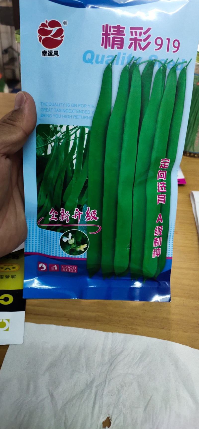 四季豆种子豆角精彩919，耐热早熟、嫩荚深绿，
