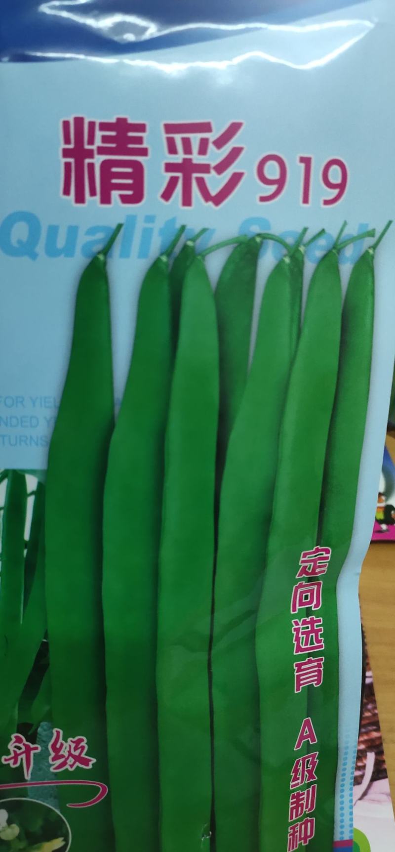 四季豆种子豆角精彩919，耐热早熟、嫩荚深绿，