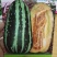 甜瓜种子彩虹九号易坐果,果实棒状果肉红色间绿色