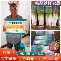 铁杆大葱规格齐全山东大葱一手货源代发全国各地